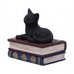 Boite  chat noir se reposant sur des livres - Nemesis Now (11.7cm)