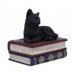 Boite  chat noir se reposant sur des livres - Nemesis Now (11.7cm)
