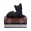 Boite  chat noir se reposant sur des livres - Nemesis Now (11.7cm)