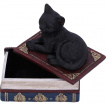 Boite  chat noir se reposant sur des livres - Nemesis Now (11.7cm)