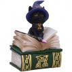 Boite double grimoire  petit chat sorcier - Nemesis Now