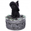 Boite à pentacles et chaton noir à chapeau de sorcier - 15cm