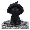 Boite à pentacles et chaton noir à chapeau de sorcier - 15cm