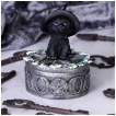 Boite à pentacles et chaton noir à chapeau de sorcier - 15cm