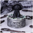 Boite  pentacles et chaton noir  chapeau de sorcier - 15cm