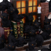 Collection de 36 figurines chats noirs avec décor maison de sorcière