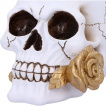 Crâne blanc tenant une rose dorée entre ses dents (17,5cm)