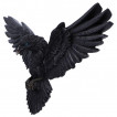 Décoration murale Corbeau ailes déployées (35cm)