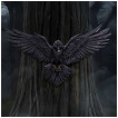 Décoration murale Corbeau ailes déployées (35cm)