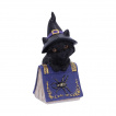 Figurine chat noir sorcier sur grimoire araigne (12.7cm) - Nemesis Now