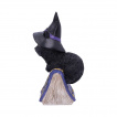 Figurine chat noir sorcier sur grimoire araigne (12.7cm) - Nemesis Now