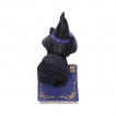 Figurine chat noir sorcier sur grimoire araigne (12.7cm) - Nemesis Now