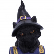 Figurine chat noir sorcier sur grimoire araigne (12.7cm) - Nemesis Now