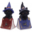 Figurine chat noir sorcier sur grimoire araigne (12.7cm) - Nemesis Now