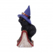 Figurine chat noir sorcier sur grimoire araigne (12.7cm) - Nemesis Now