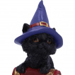 Figurine chat noir sorcier sur grimoire araigne (12.7cm) - Nemesis Now