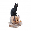 Figurine chat noir sur un crane 