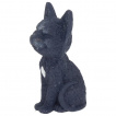 Figurine chat sombre  grand sourire de vampire - Nemesis Now