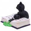 Figurine chaton espigle renversant une potion sur un livre (10,5cm)