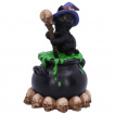 Figurine chaton sorcier et son chaudron magique - 12cm