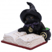 Figurine chaton sorcier tudiant un livre de potions (8,5cm)