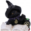 Figurine chaton sorcier tudiant un livre de potions (8,5cm)