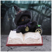 Figurine chaton sorcier tudiant un livre de potions (8,5cm)