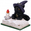 Figurine chaton sorcier tudiant un livre de sorts (8,5cm)