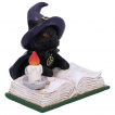 Figurine chaton sorcier tudiant un livre de sorts (8,5cm)