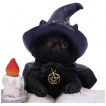 Figurine chaton sorcier tudiant un livre de sorts (8,5cm)