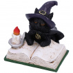 Figurine chaton sorcier tudiant un livre de sorts (8,5cm)