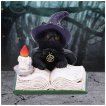 Figurine chaton sorcier tudiant un livre de sorts (8,5cm)