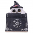 Figurine chouette  chapeau de sorcire cache derrire un grimoire (15cm)