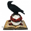 Figurine corbeau sur crane et grimoire (17cm)