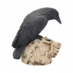 Figurine corbeau sur crane humain