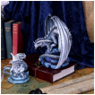 Figurine Dragon de Pierre Adulte