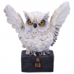 Figurine hibou blanc gardien du coffre - Nemesis Now