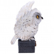Figurine hibou blanc gardien du coffre - Nemesis Now