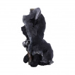 Figurine petit chat noir  faux et collier de cranes - Nemesis Now (10,2cm)