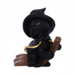 Figurine petit chat sorcier sur son balai (11cm) - Nemesis Now