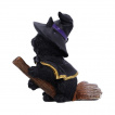 Figurine petit chat sorcier sur son balai (11cm) - Nemesis Now