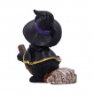 Figurine petit chat sorcier sur son balai (11cm) - Nemesis Now