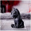 Figurine petite licorne gothique noire à pentacle sur le front (10,2cm)