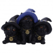 Figurine 3 petits chatons noirs  chapeau de sorcire (9,8cm)