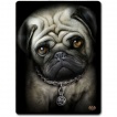 Grande couverture en molleton punk-rock  chien bulldog avec piercing au nez