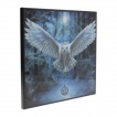 Image plexy déco à chouette blanche