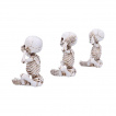 Lot de 3 figurines squelettes de la sagesse (13 cm)