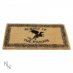 Paillasson d'Extérieur / Tapis