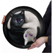 Plateau / planche  dcouper en verre  chats Yin et Yang (31x31cm)