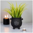 Pot pour plante en forme chaudron avec pentagramme